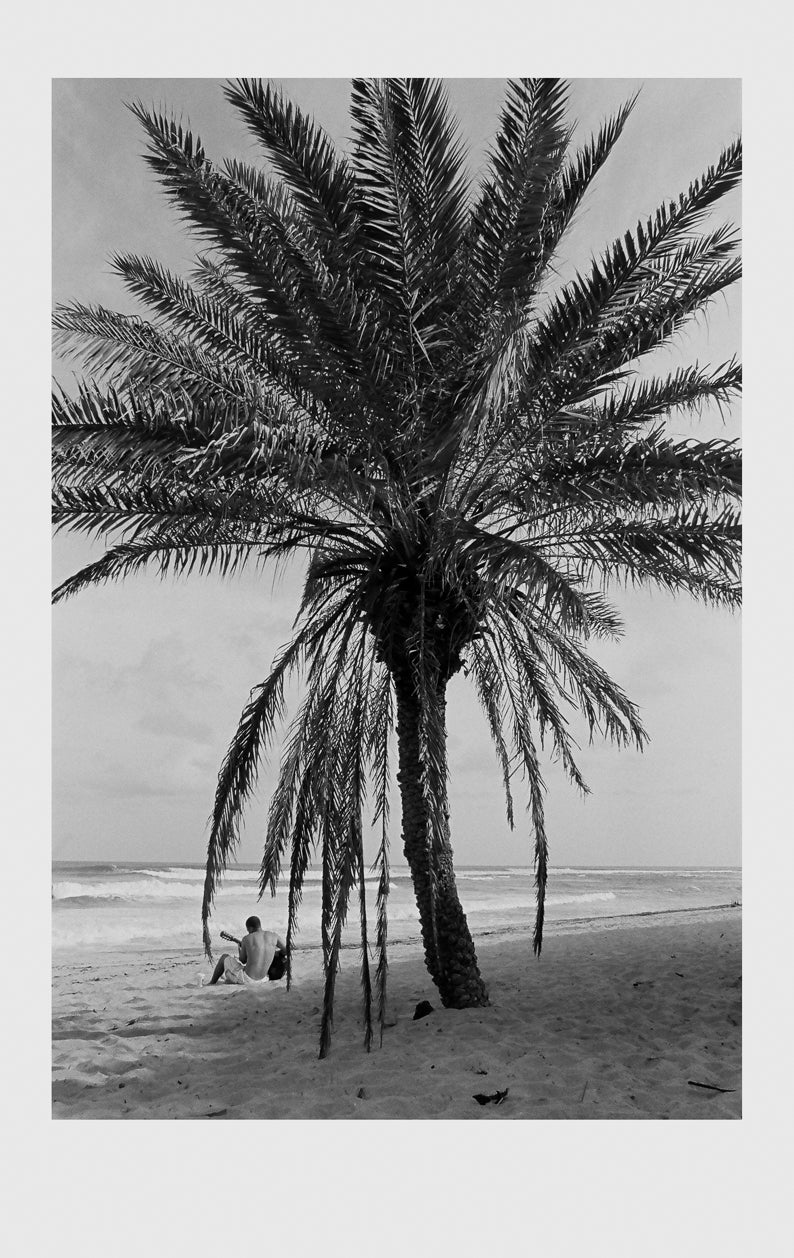Jack Johnson at Sunset Beach