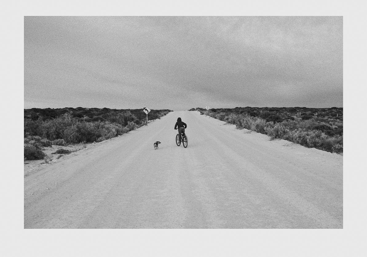 Cactus Cruising