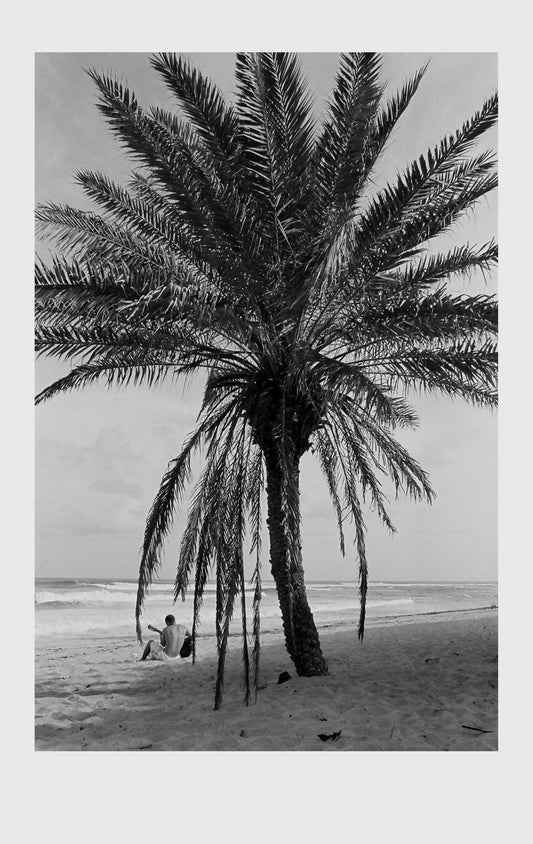 Jack Johnson at Sunset Beach