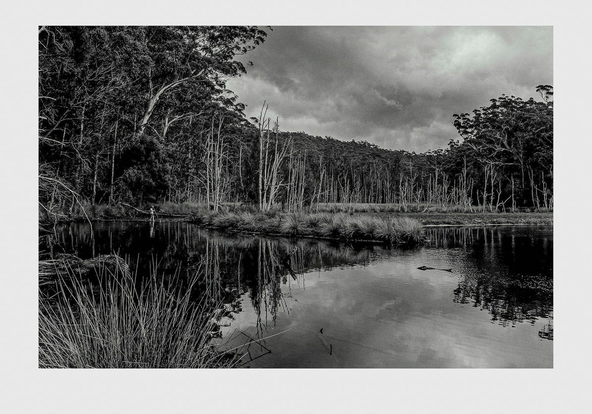 Back of Burrill Lake