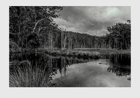 Back of Burrill Lake