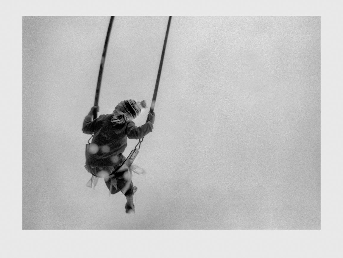 Tree Swing