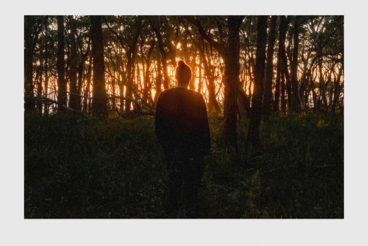 Meroo Dawn Dreaming