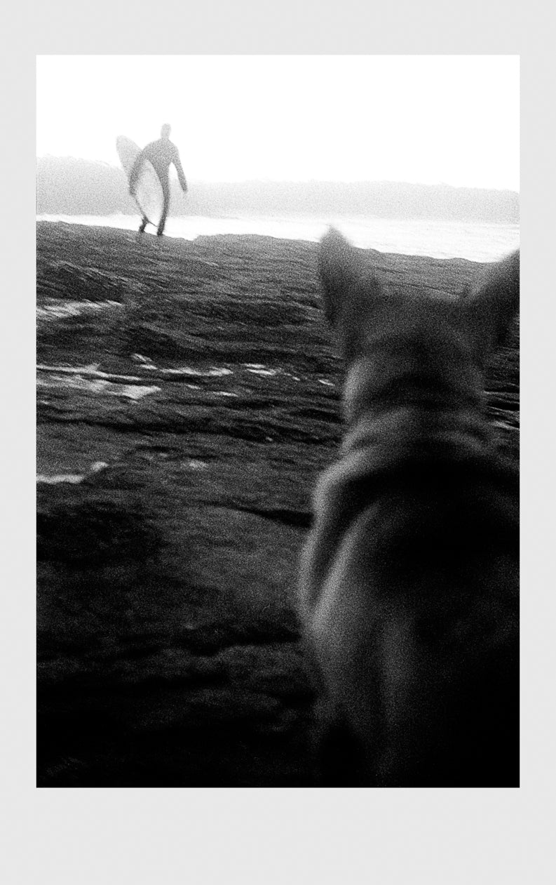 A Surfers Best Friend